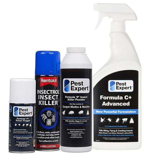 JS Pest Control, Carpet Beetles Control