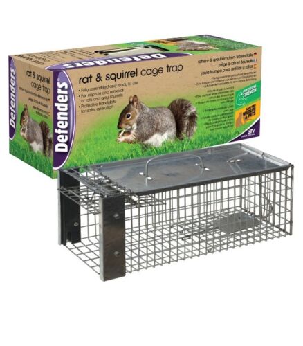 Rat Cage Trap